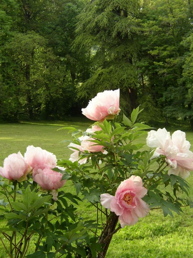 فندق Le Domaine De Pomone Woinville المظهر الخارجي الصورة
